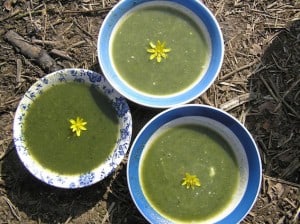nettle soup