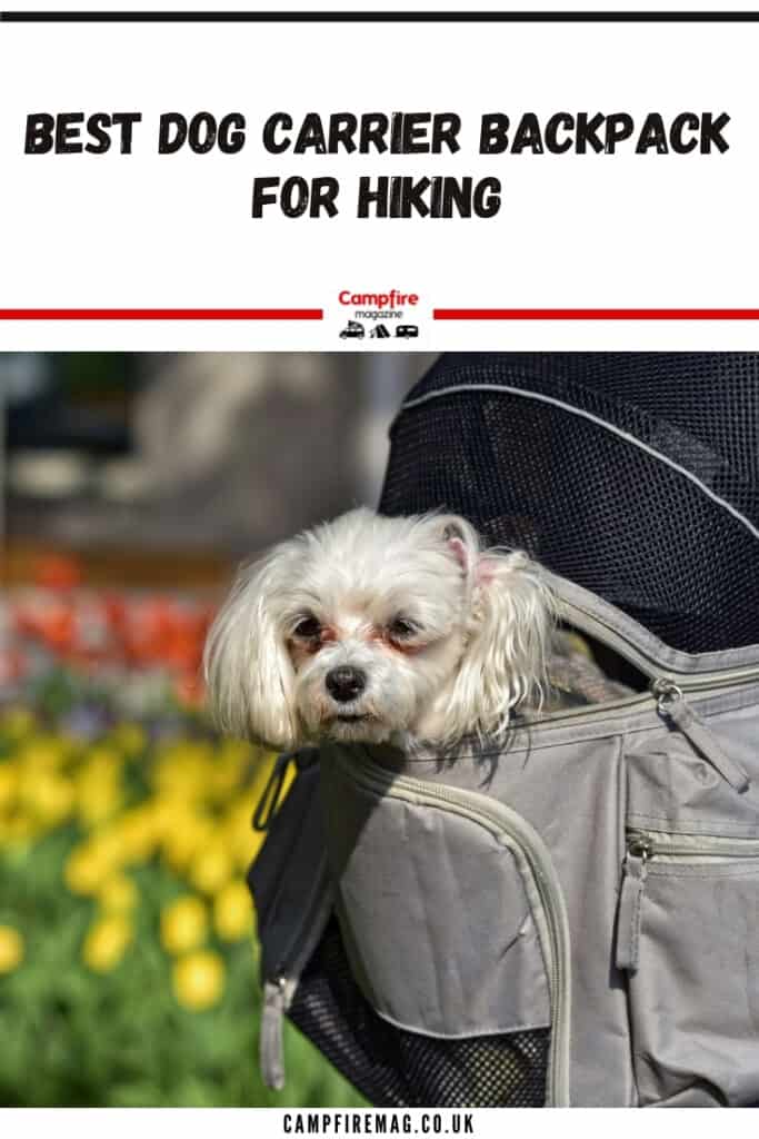 Best Dog Carrier Backpack For Hiking In 2023 Campfire Magazine