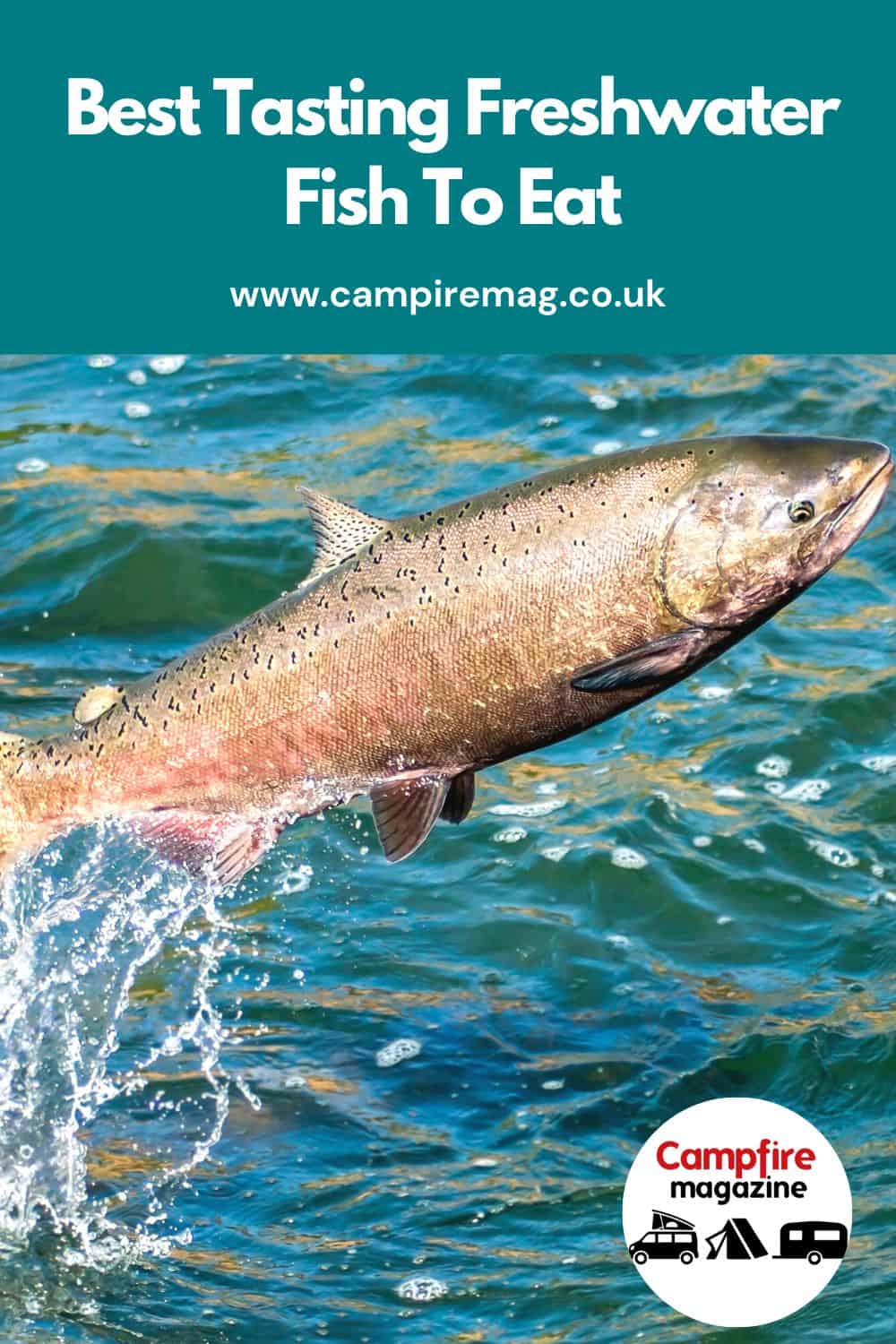 Best Tasting Freshwater Fish To Eat Campfire Magazine