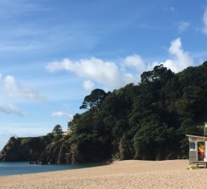 Blackpool Sands in Devon