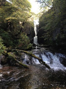 Catrigg Force