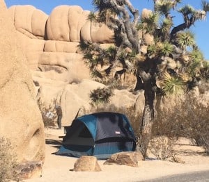 tent in California