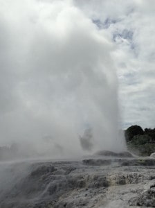 a geyser erupts at Te Puia, Rotorua.
