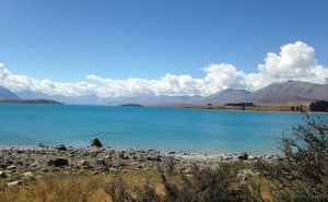 The extraordinary blue water at Lake Tekapo.