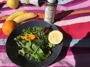 Nasturtium and walnut oil picnic