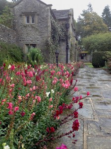 Parcevall Hall Gardens.