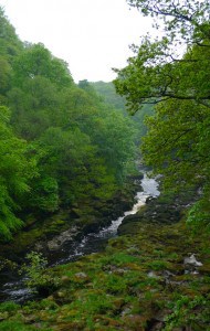 River Wharfe