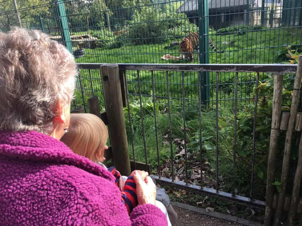 12 Best Zoos In England In 2023(Our Top Guide) | Campfire Magazine