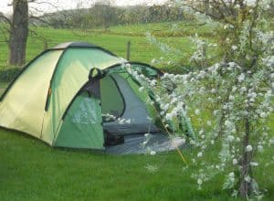 camping Hampshire