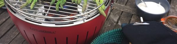 Lotus Grill