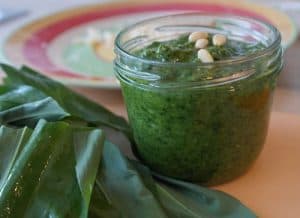 wild garlic recipes